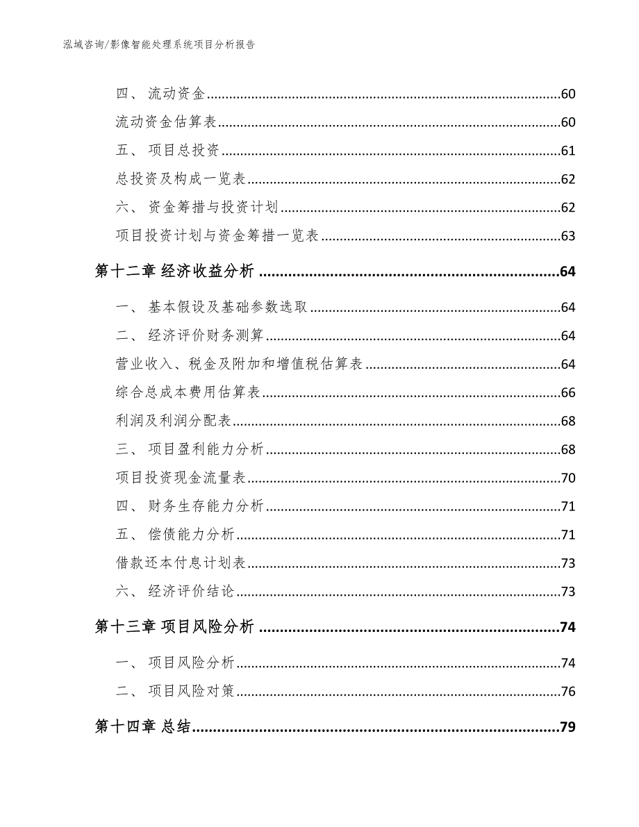 影像智能处理系统项目分析报告【参考范文】_第4页