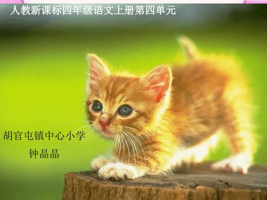 (人教新课标)四年级语文上册课件猫_第1页