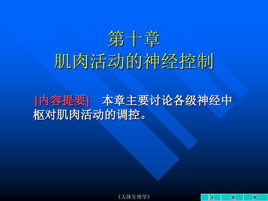 肌肉活动的神经控制.ppt_第1页