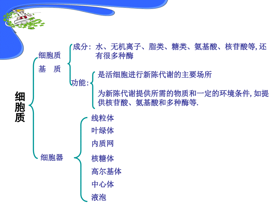 细胞器―系统内的分工合作123_第4页