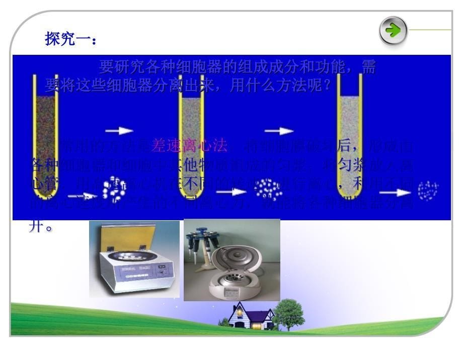 细胞器―系统内的分工合作123_第5页