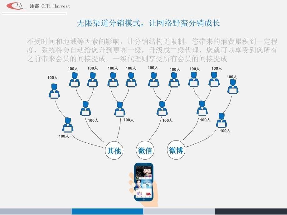 布拉谢尔合伙人分销体系_第5页