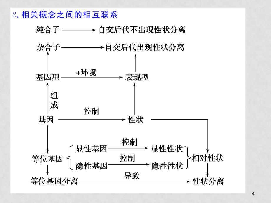 高三生物一轮复习课件第18讲基因的分离定律苏教版_第4页