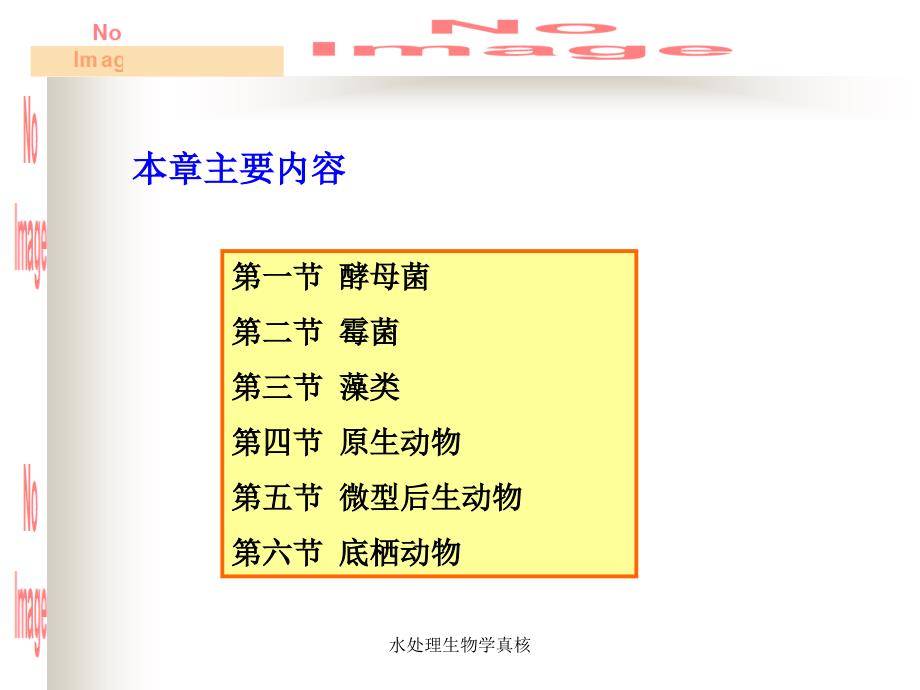 水处理生物学真核课件_第3页