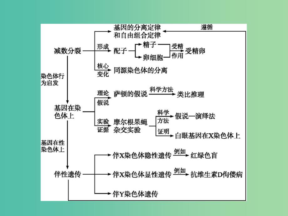 2019高中生物 第2章 基因和染色体的关系专题整合课件 新人教版必修1.ppt_第2页