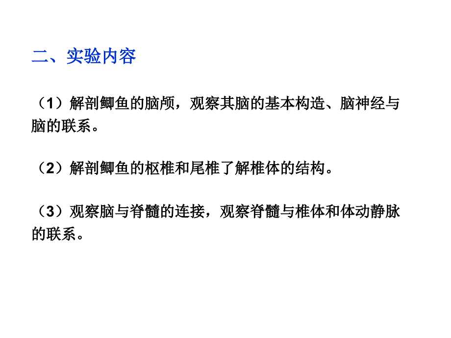 实验 鱼脑神经与椎体_第2页