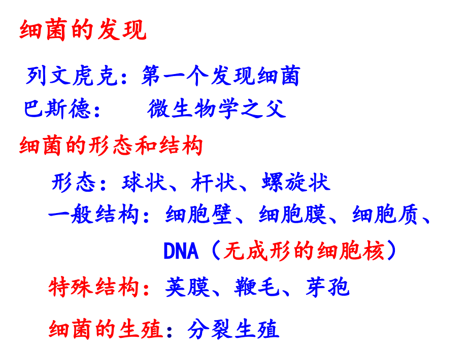 第三节真菌课件1_第2页