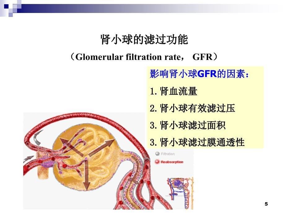 肾衰ppt课件_第5页