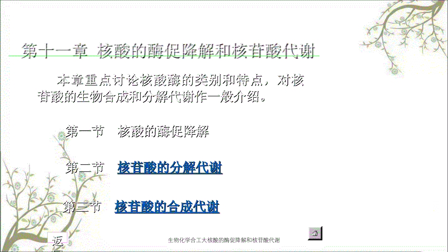 生物化学合工大核酸的酶促降解和核苷酸代谢_第1页