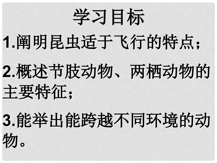 人教版初中生物八年级上册课件《空中飞行的动物（2）》_第2页