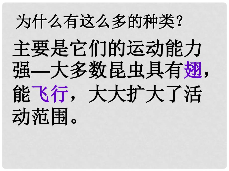 人教版初中生物八年级上册课件《空中飞行的动物（2）》_第4页