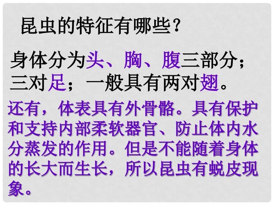 人教版初中生物八年级上册课件《空中飞行的动物（2）》_第5页