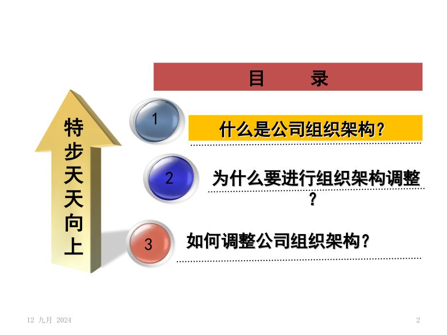 公司组织架构调整建议_第2页