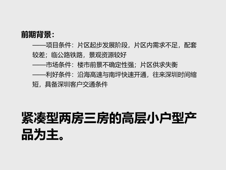 精品深圳艺术地产DADA项目推广策划报告_第5页