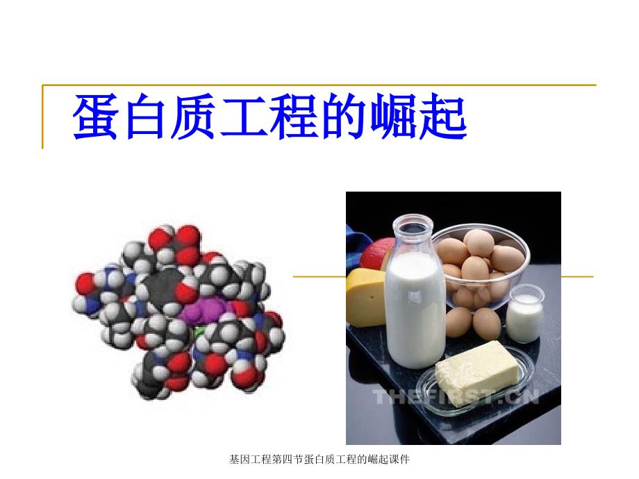 基因工程第四节蛋白质工程的崛起课件_第1页