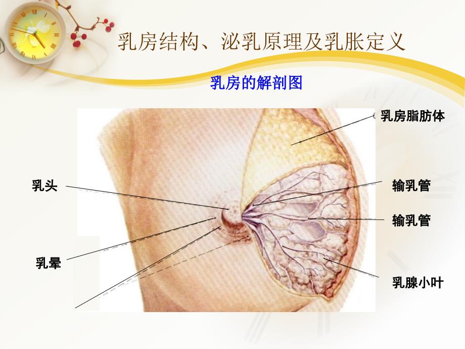 产后乳胀的护理新_第3页