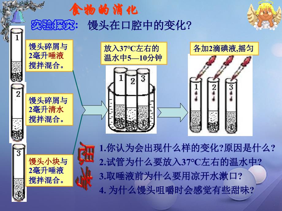 七年级生物下册 4.2.2 消化和吸收 （新版）新人教版_第4页