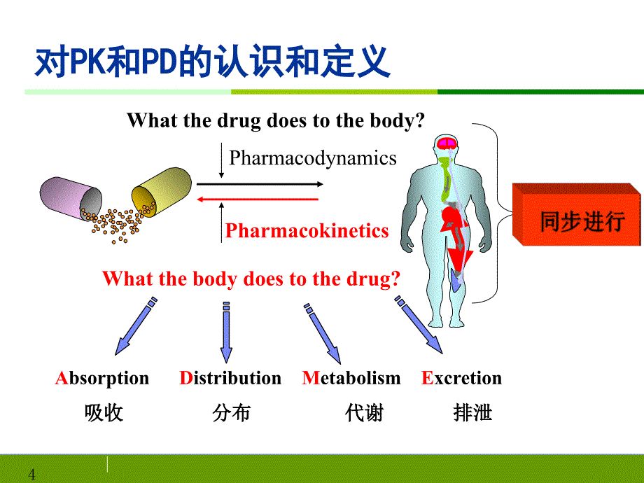 人体药代动力学在药物临床评价中的作用ppt课件_第4页