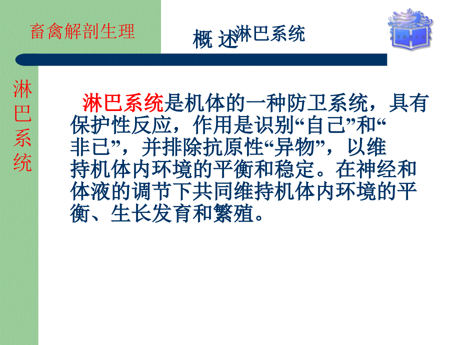 畜禽解剖生理第十章淋巴系统ppt课件_第2页