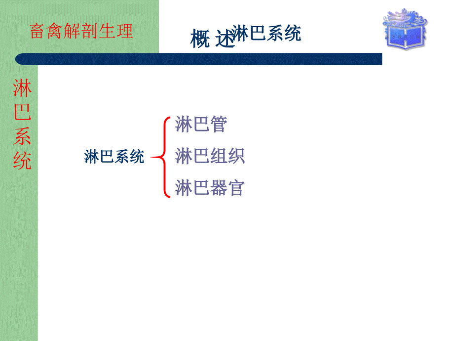 畜禽解剖生理第十章淋巴系统ppt课件_第3页