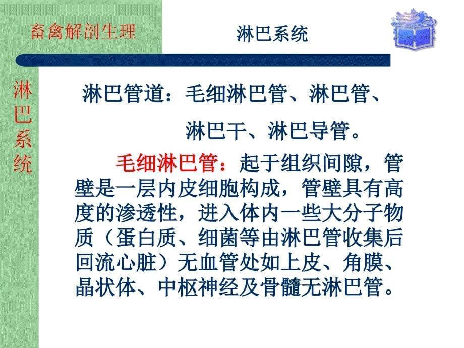 畜禽解剖生理第十章淋巴系统ppt课件_第5页