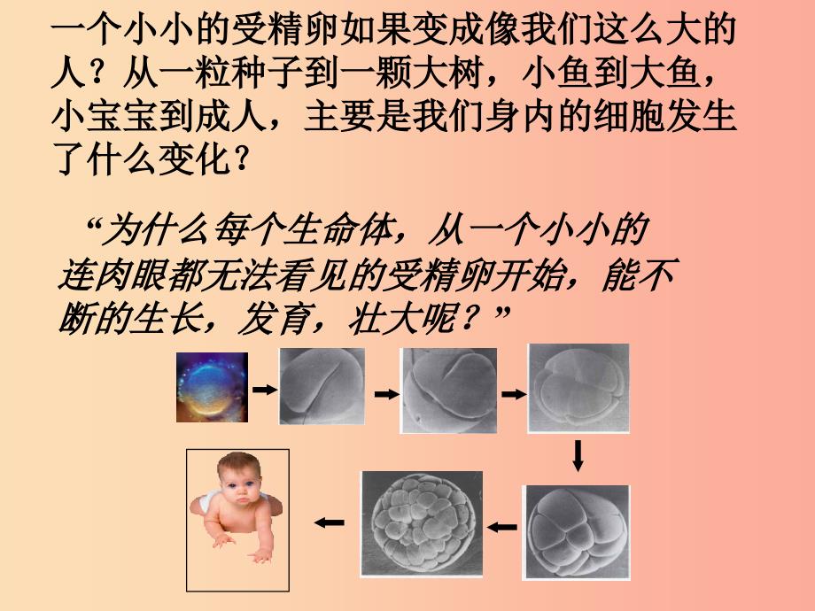 安徽省七年级生物上册2.2.1细胞通过分裂产生新细胞课件2 新人教版.ppt_第1页