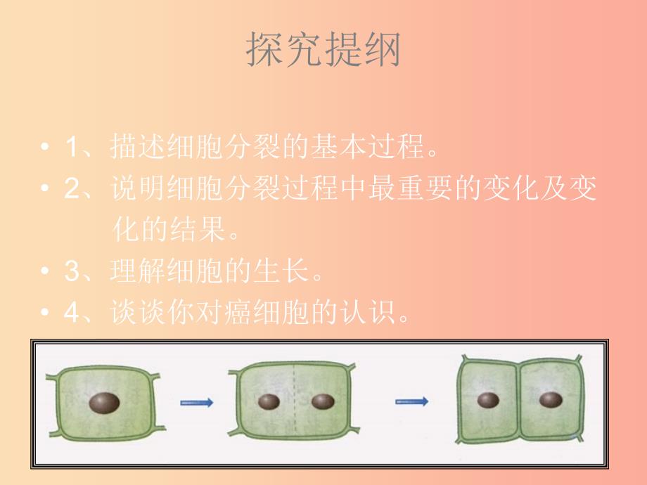 安徽省七年级生物上册2.2.1细胞通过分裂产生新细胞课件2 新人教版.ppt_第3页