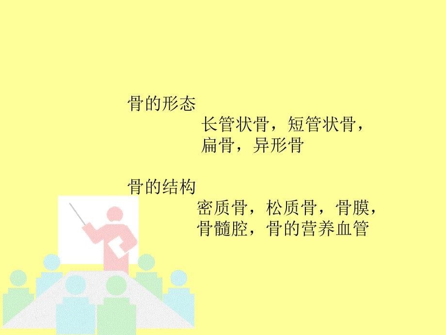 骨骼和系统X线诊断_第5页