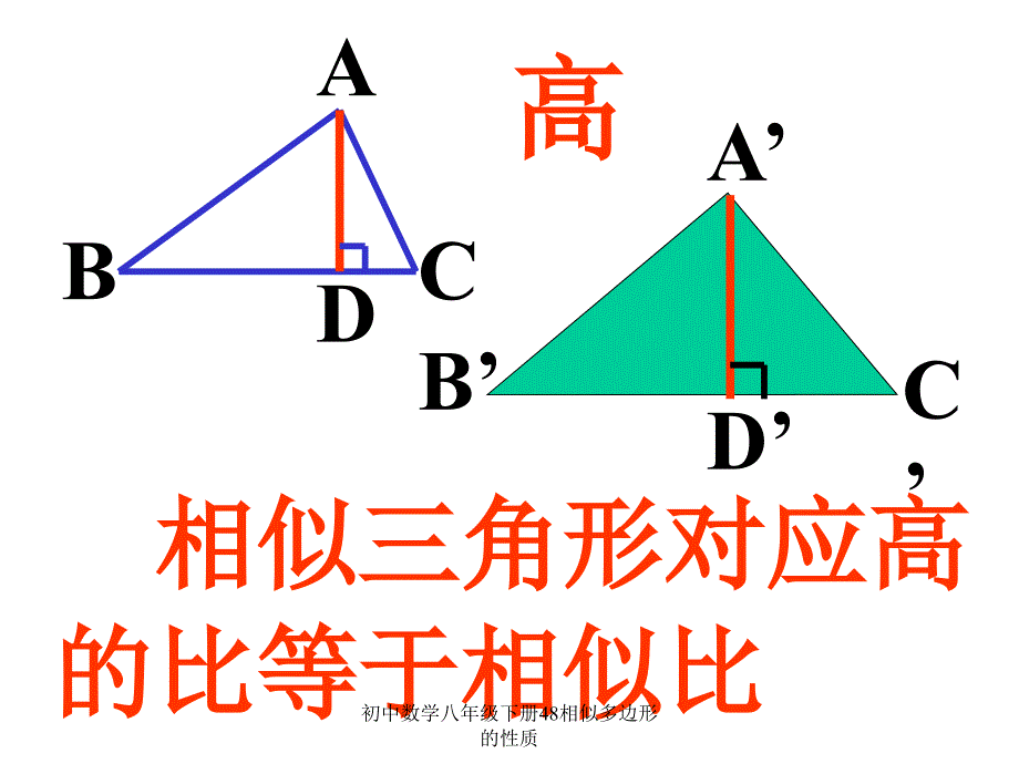 初中数学八年级下册48相似多边形的性质课件_第2页