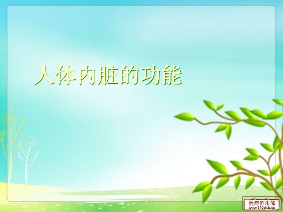 人体内脏的功能