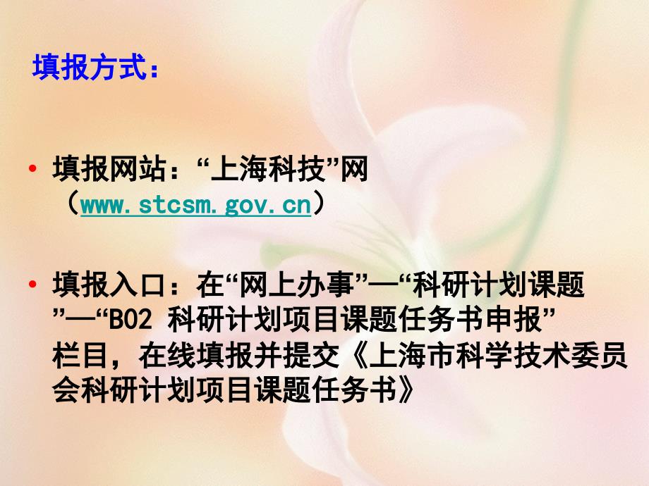 上海市科委课题任务书填写注意事项人才计划A类自然基金语文_第2页