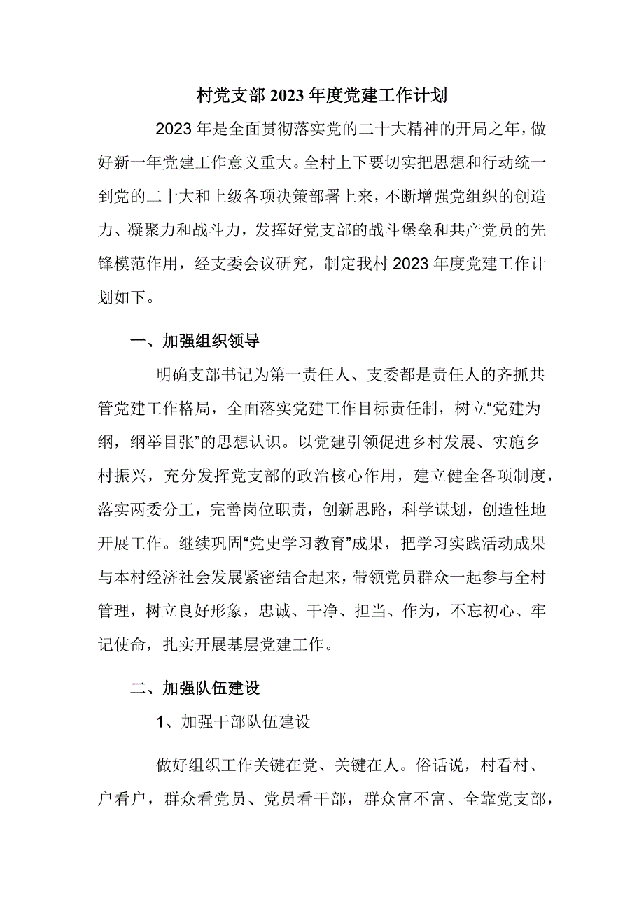 村党支部2023年度党建工作计划_第1页