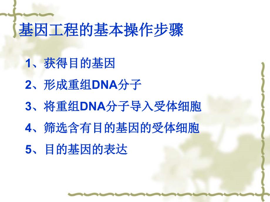 高二生物选修3基因工程的原理和技术课件_第2页