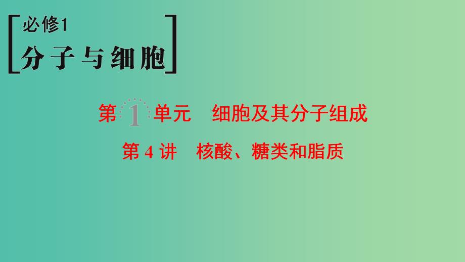 高考生物一轮复习第1单元细胞及其分子组成第4讲核酸糖类和脂质课件.ppt_第1页