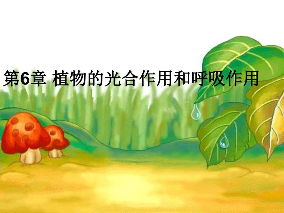 七年级生物植物的光合作用和呼吸作用_第1页