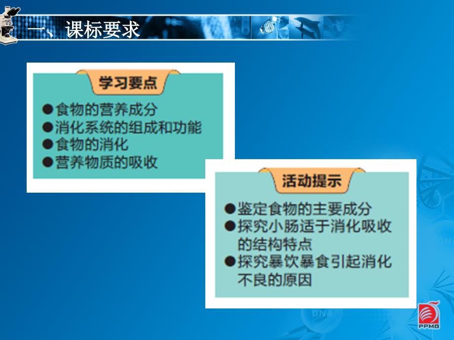 第5章人体的物质和能量来源于食物_第4页