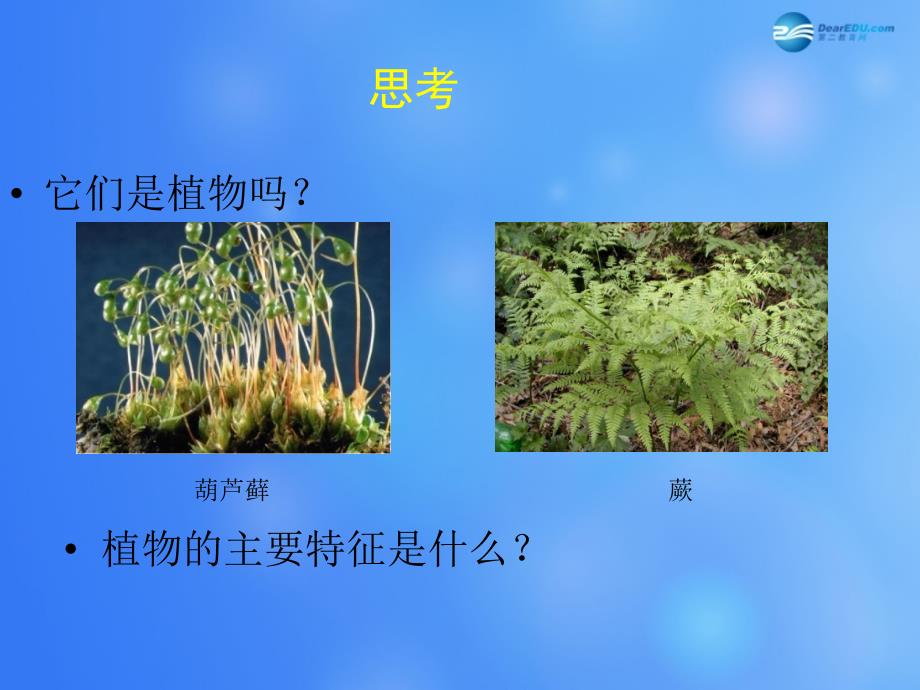 八年级生物下册 第22章 第三节 植物的主要类群课件1 新版北师大版_第3页