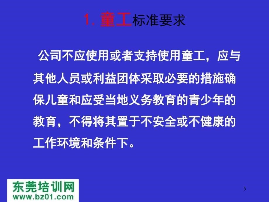 SA8000标准体系培训教案讲解_第5页