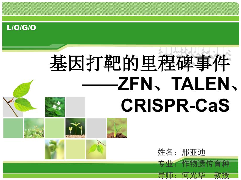 ZFN.TALEN.CRISPRCas三种基因编辑工具_第1页