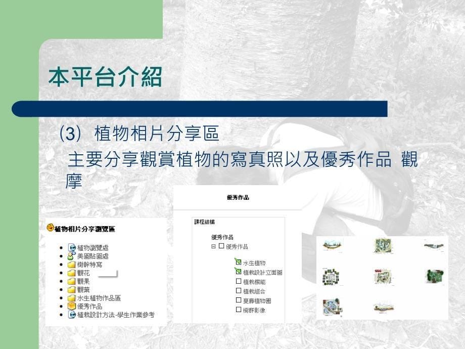 景观学系植栽设计课网页成果发表_第5页