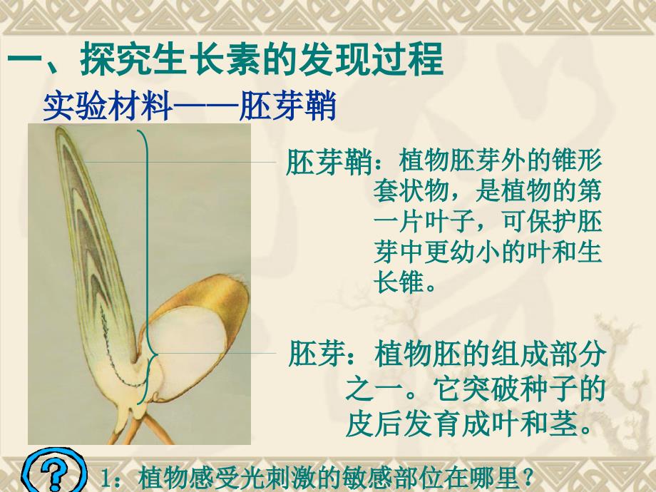 生物学必修3.3.1植物生长素的发现PPT课件_第4页