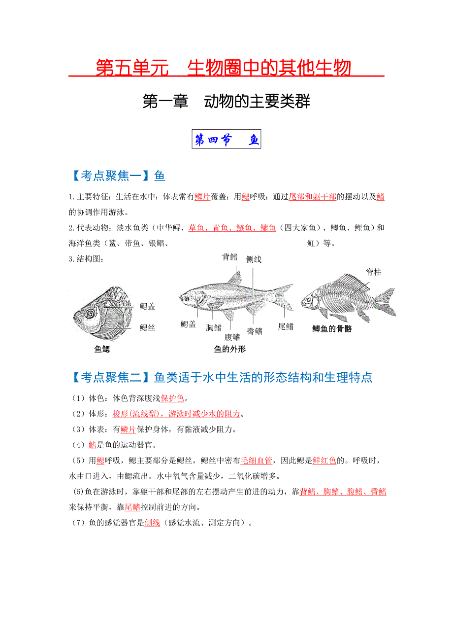 考点02动物的主要类群（脊椎动物）中考生物知识手册速查（人教版）_第1页