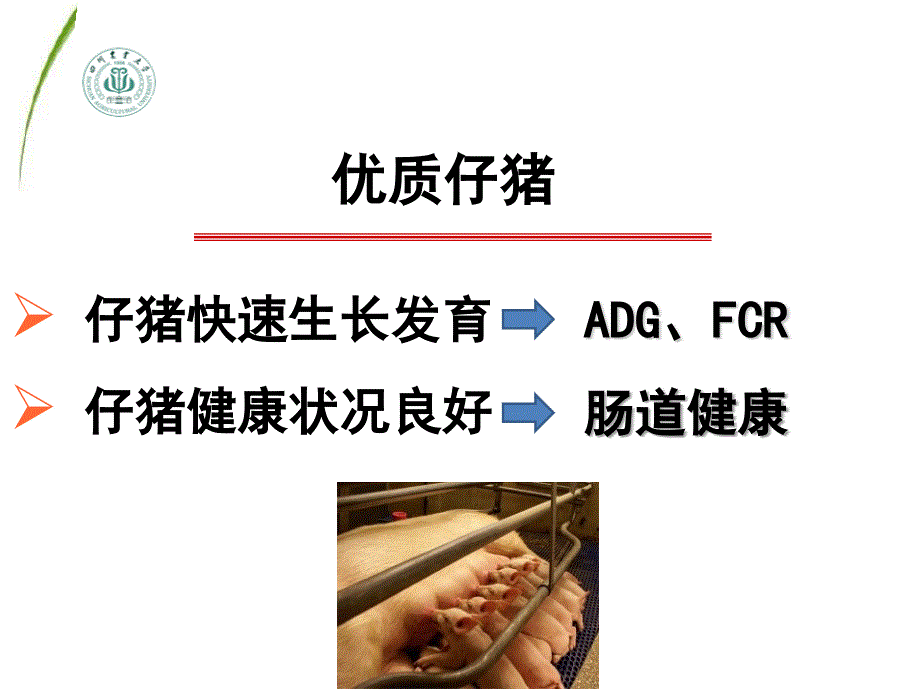 车炼强教槽料营养与营养结构_第3页