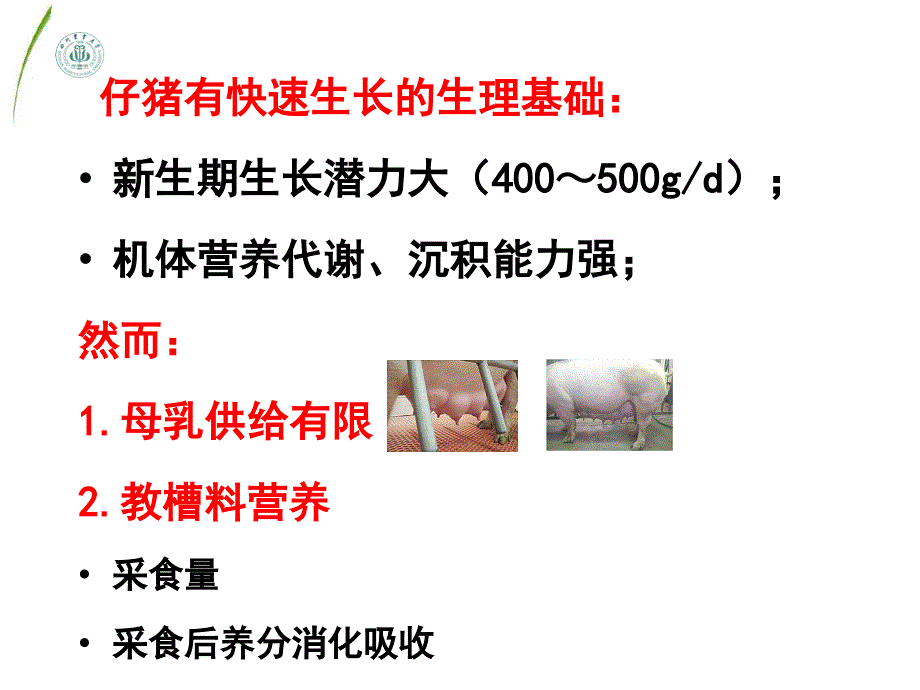 车炼强教槽料营养与营养结构_第4页