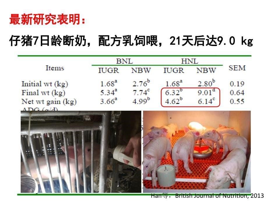 车炼强教槽料营养与营养结构_第5页