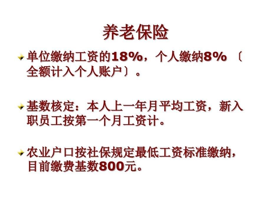 五险一金社保基础知识课程教材培训模板课件演示文档资料_第5页