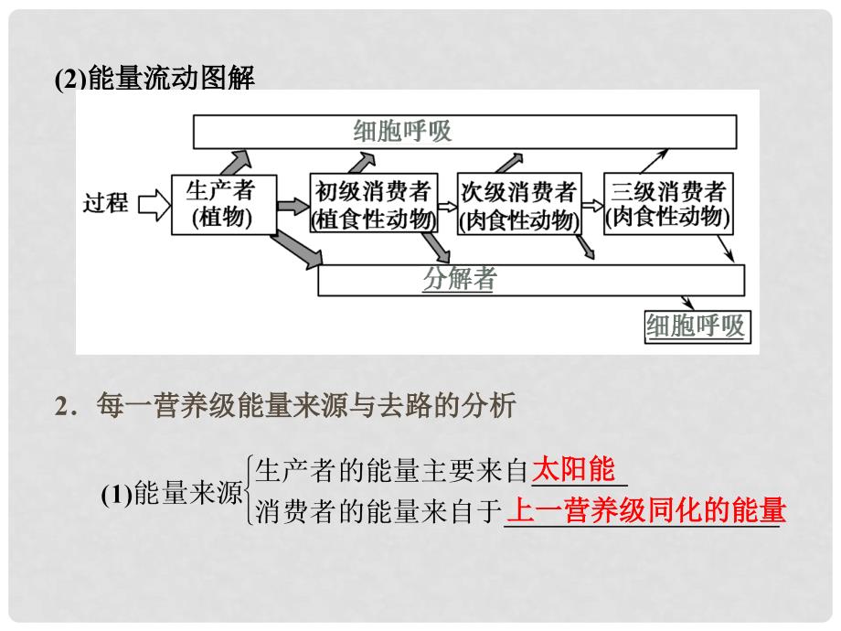 高考生物 第二单元 第4讲 生态系统的功能 能量流动和物质循环课件 新人教版必修3_第4页
