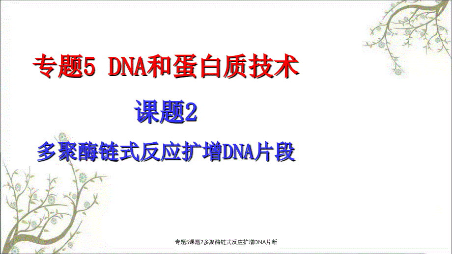 专题5课题2多聚酶链式反应扩增DNA片断_第1页