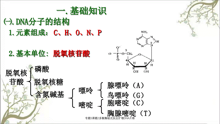 专题5课题2多聚酶链式反应扩增DNA片断_第3页