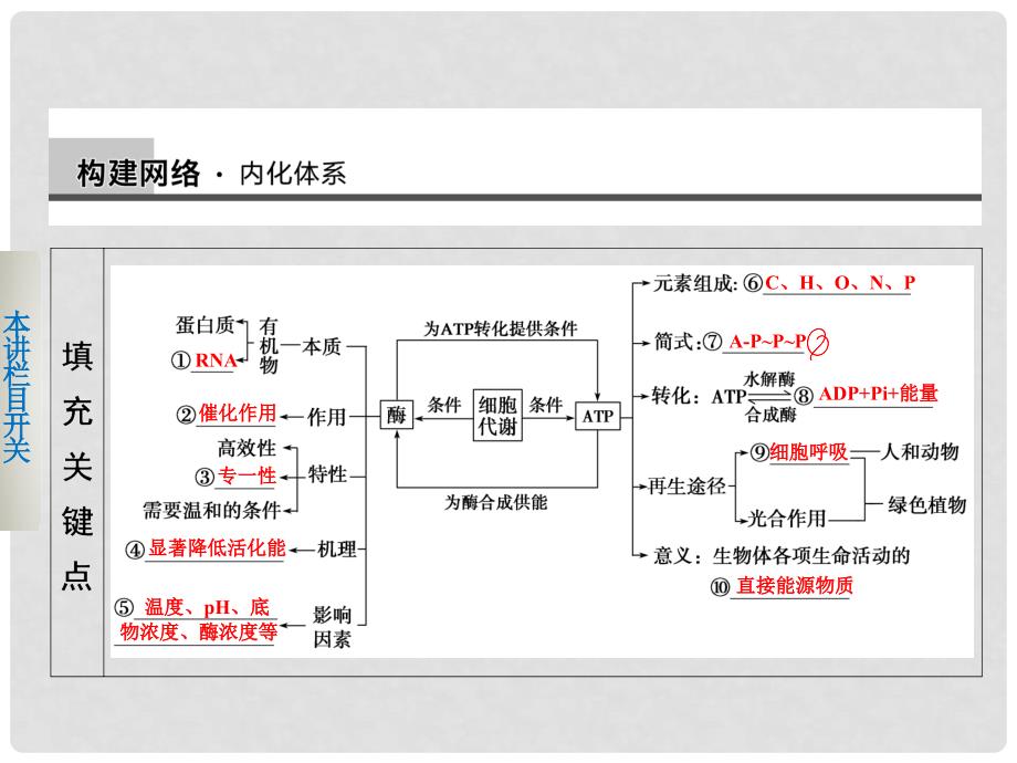 高考生物二轮复习 专题二 第1讲 酶和ATP课件_第3页